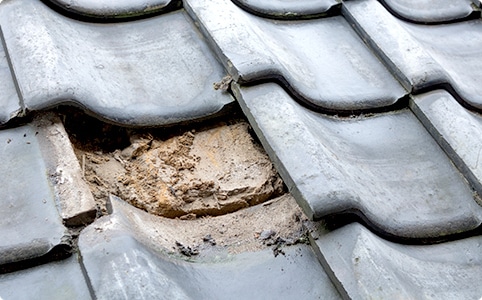 屋根材のズレ・割れ